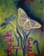 Title: Butterfly
