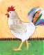 Title: Chicken