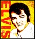 Title: ELVIS