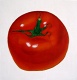 Title: THE TOMATO