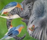 Title: elephant fantasy (1)