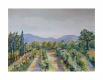 Title: Napa Vineyards