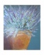 Title: Urn with Lavendar
