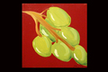 Title: Grapes