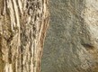 Title: wood and rock