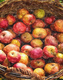 Title: Apple Basket 1