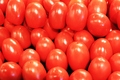 Title: Tomatoes