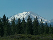Title: Mount Shasta