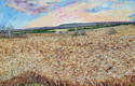 Title: kansas wheat filed