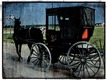 Title: Amish Buggy